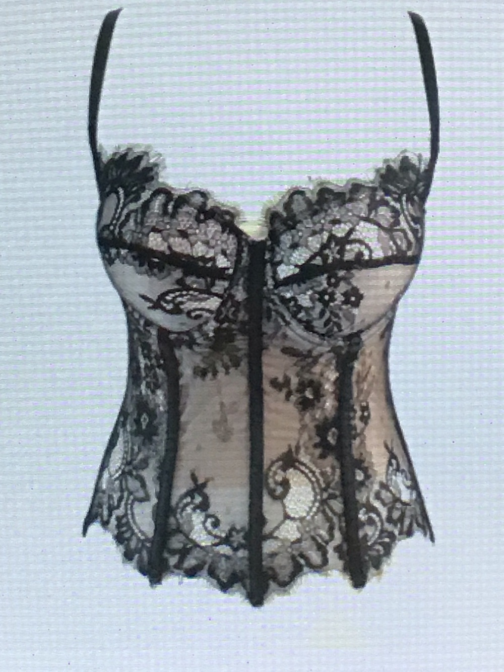 Black Lace Sheer Bustier Corset Top - Women Intimates